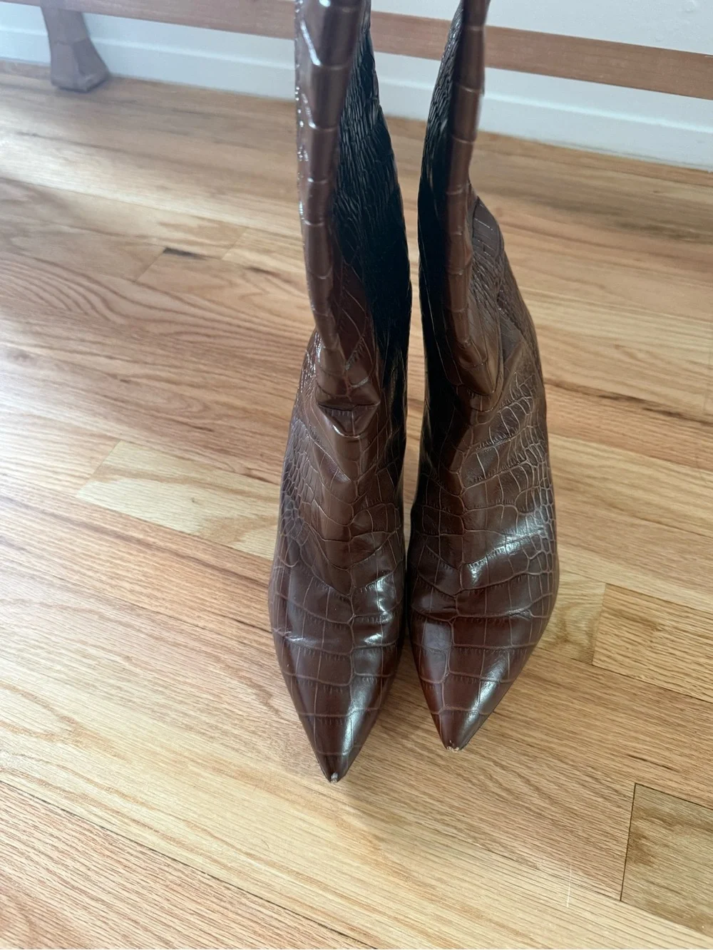 Paris Texas Croc-Embossed Pointed Toe Boot